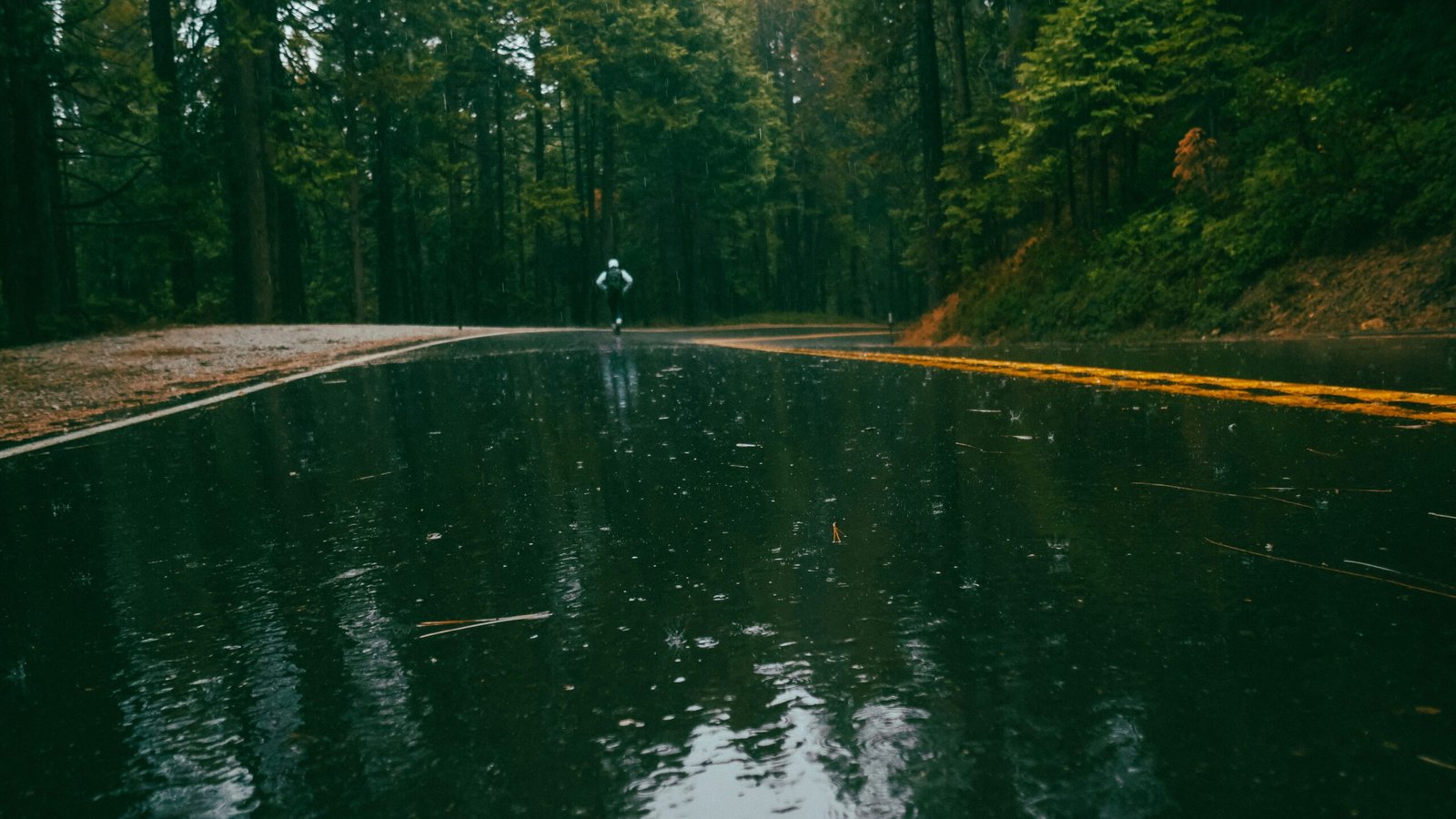 a close up of a pond